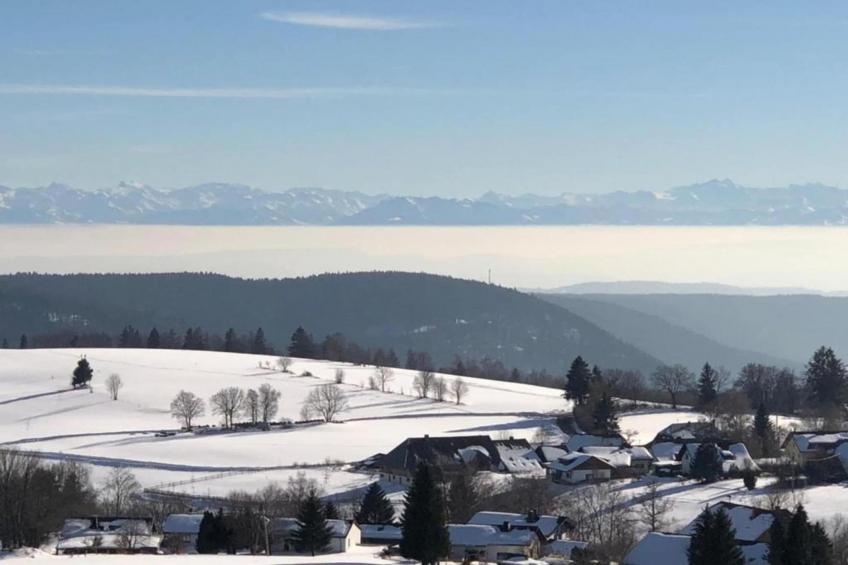 Schwarzwaldhaus Pferdeklause - foto 19