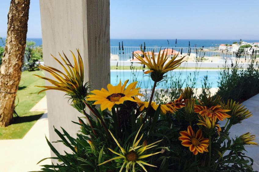 "Thea Thalassa" mit eigenem Pool - foto 8