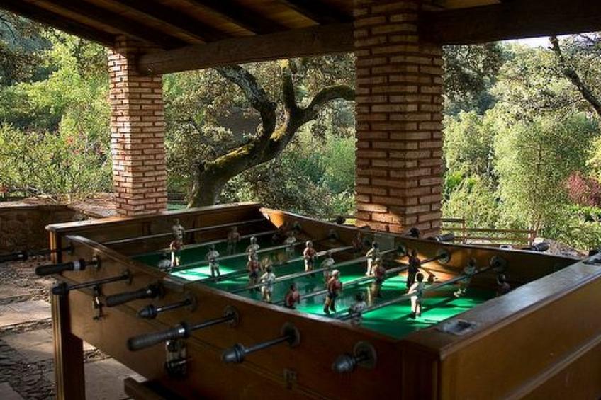Finca "La Tortuga" mit Bergblick - foto 13
