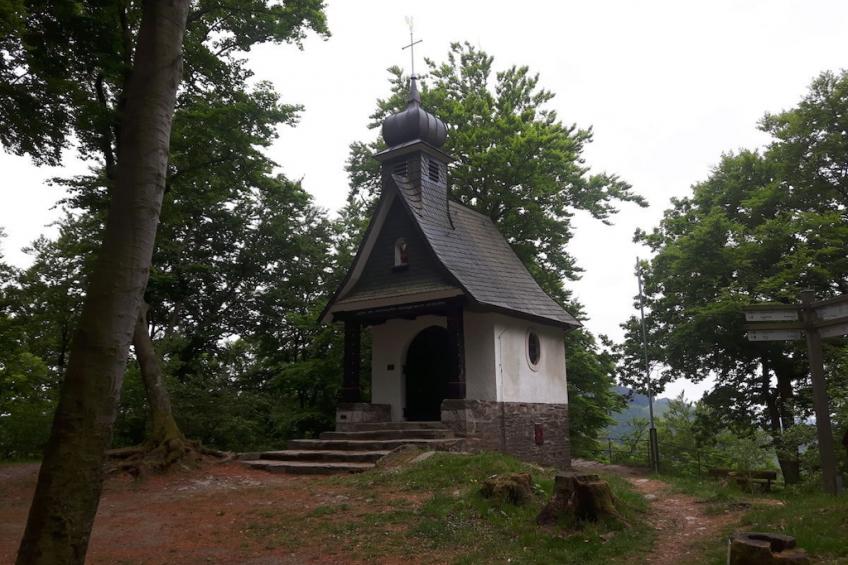 184923 - foto 13