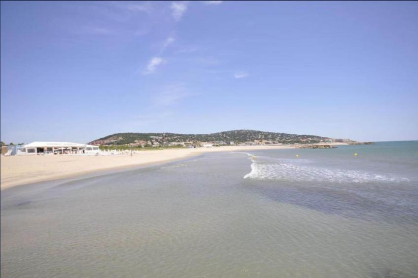 Terra Gaïa - foto 22