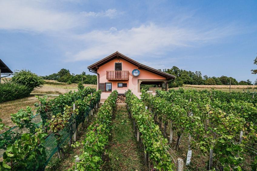 Harvest Horizon Holiday Home with Sauna - One Bedroom Holiday Home - foto 31