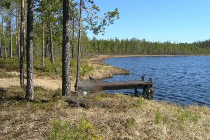 Akanlampi - foto 16