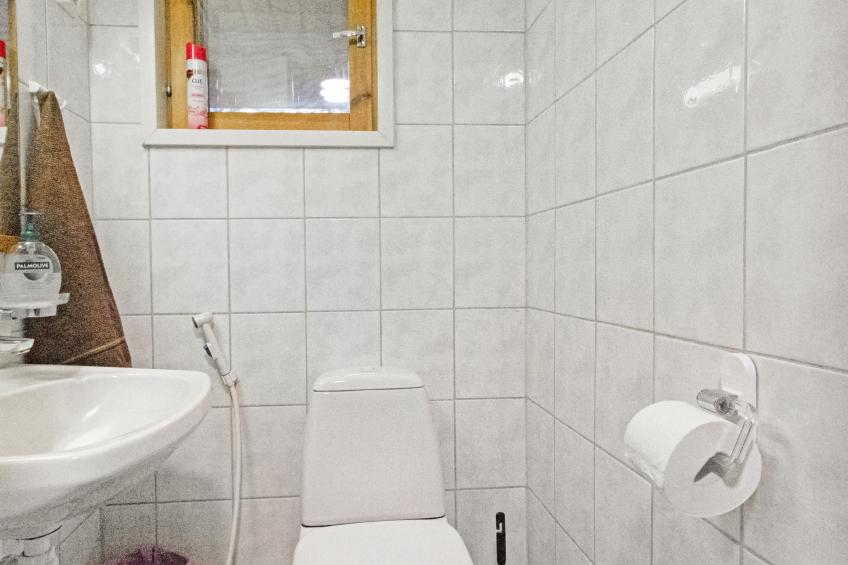 Kalliokoivu - foto 14