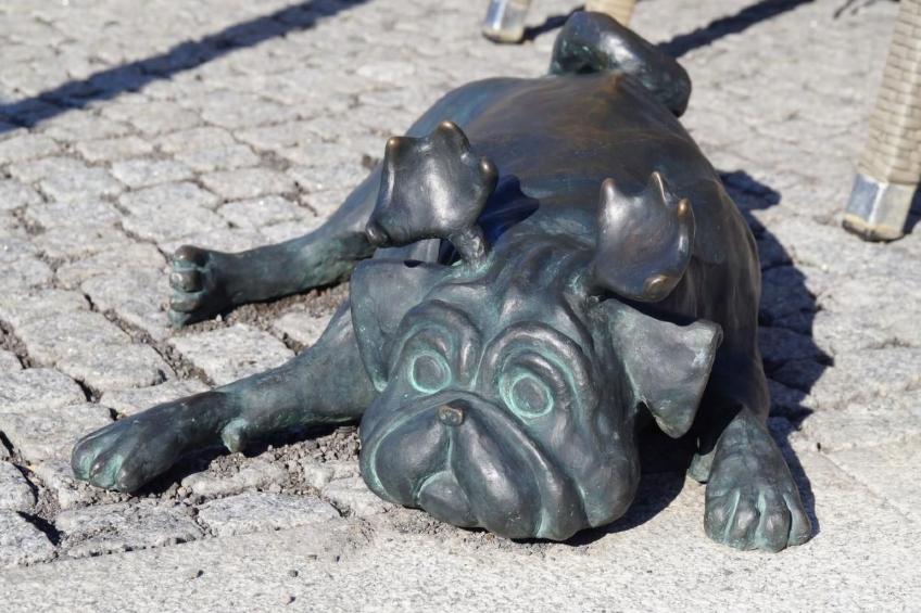 Fh "Molkenberg" - foto 34