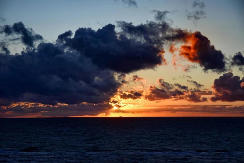 Ferienhaus Küstenwald klein - Strandhotel Fischland - foto 38