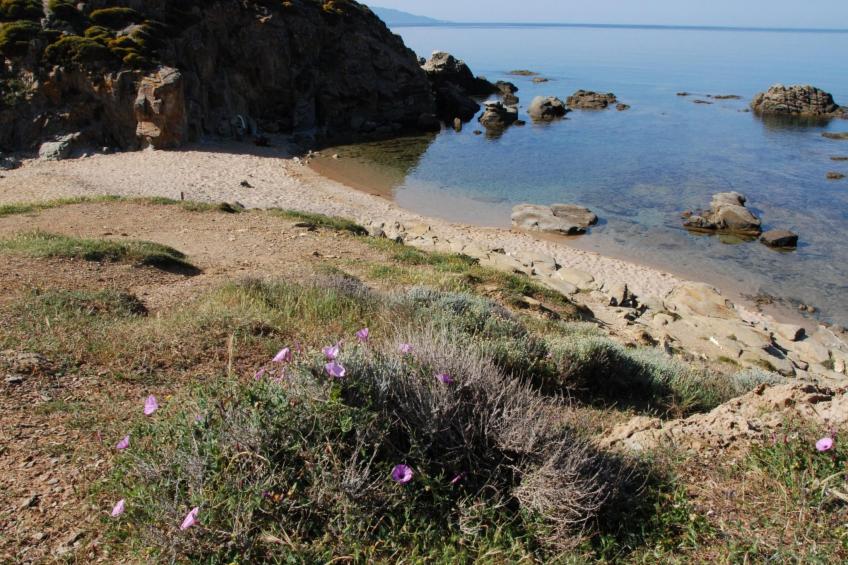 mit Wasserblick - foto 15