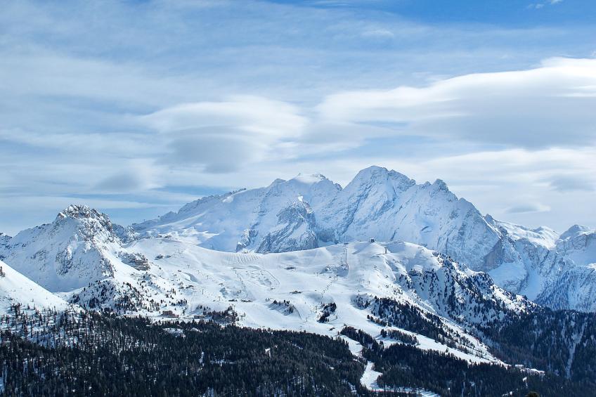 Cesa Emilia - foto 38