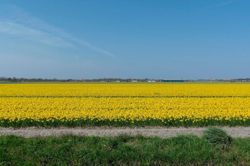 Résidence Juliana 77 - foto 19