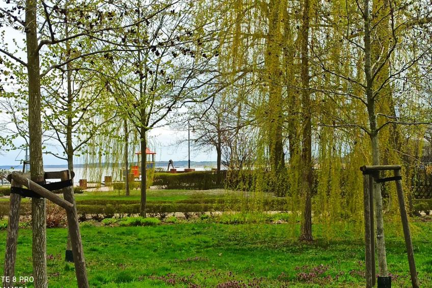 Ferienwohnung,,Manu" - foto 13