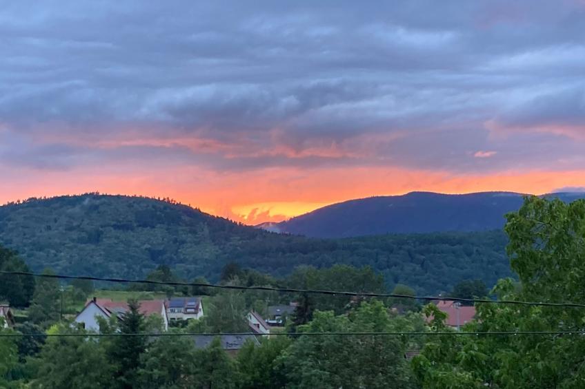 Gite des Cerisiers - foto 26