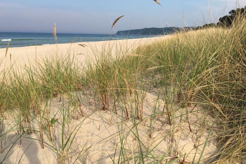 Haus Morgenstern - foto 11