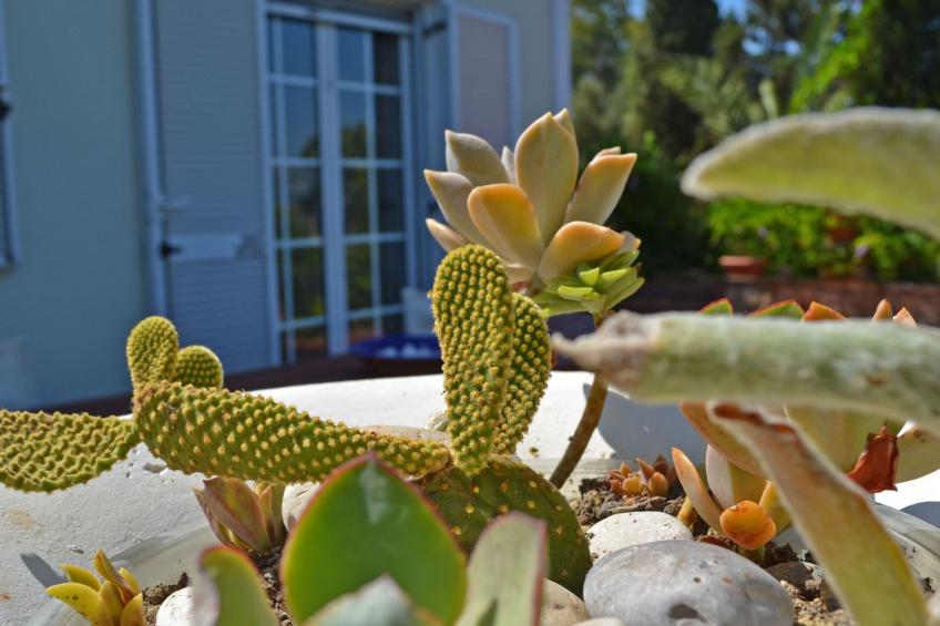 Anwesen mit Garten, Grill und Terrasse - foto 23