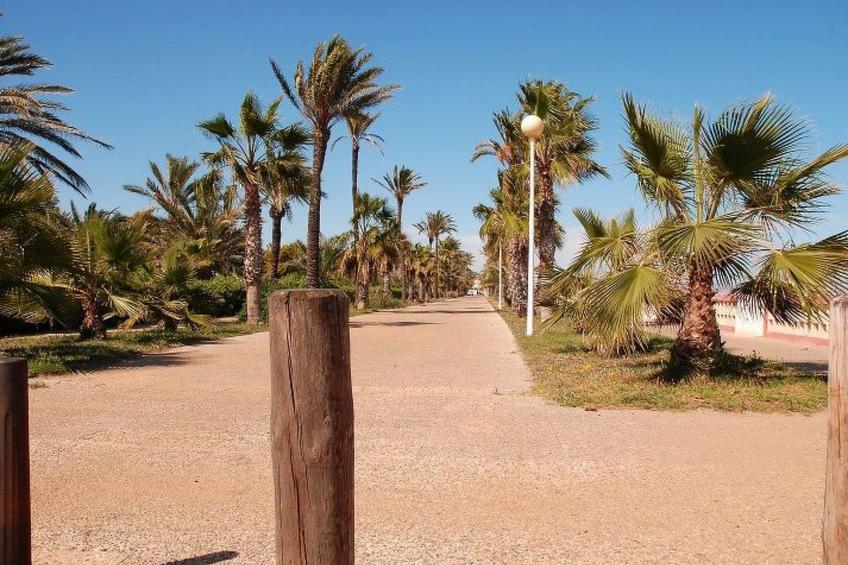 Violeta 17 - foto 137