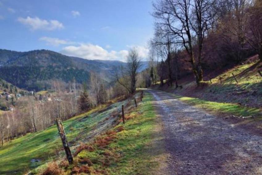 La Coccinelle - foto 26