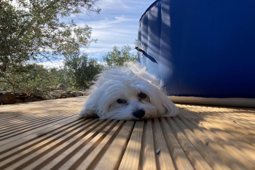 Adriatic Heritage Glamping No 2 - foto 27