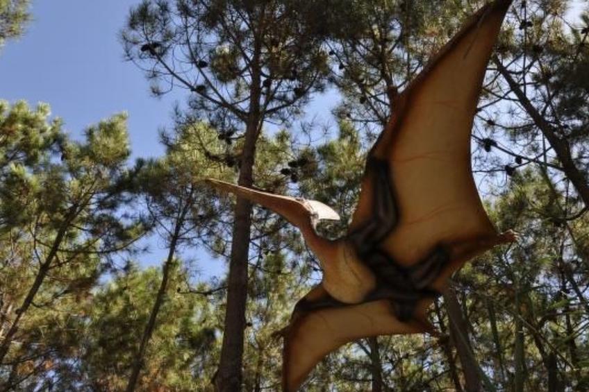 Moderne Villa mit privatem Pool und Meerblick - foto 36