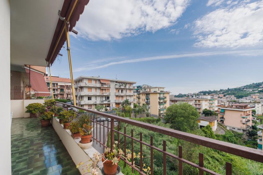 Caprifoglio - foto 17