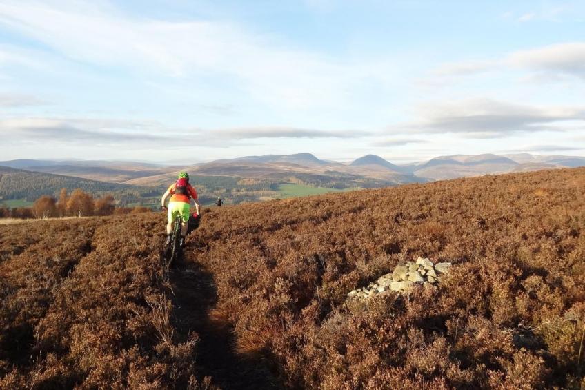 Schönes viktorianische Villa in Blairgowrie - foto 35