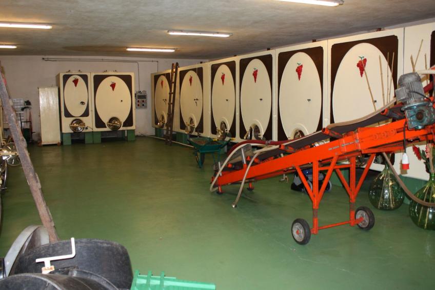 Flache Linde - foto 52