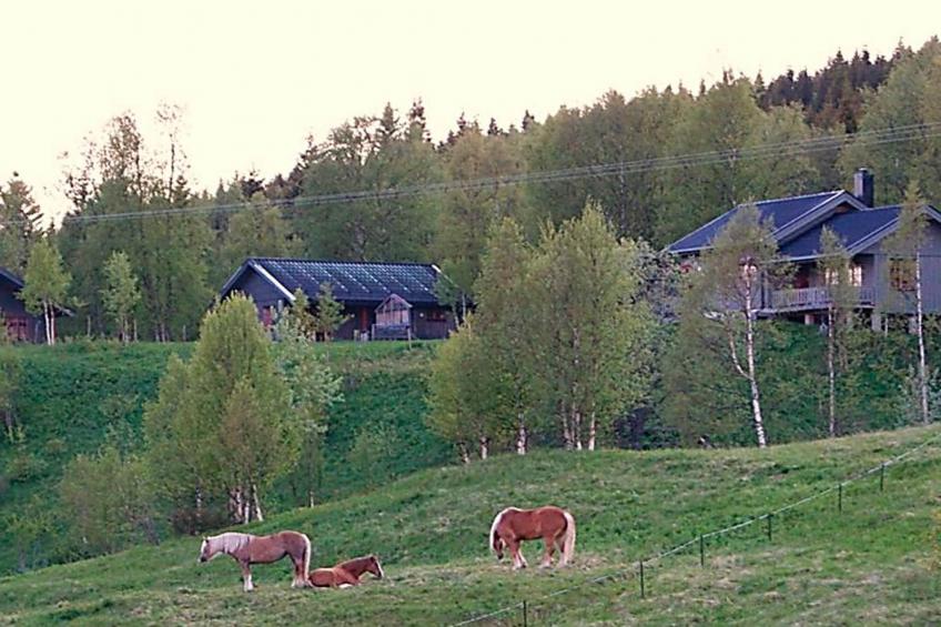 20872 - foto 14