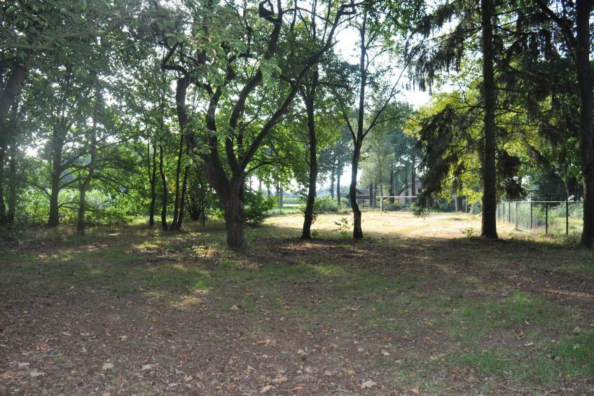 In het Bos - foto 32