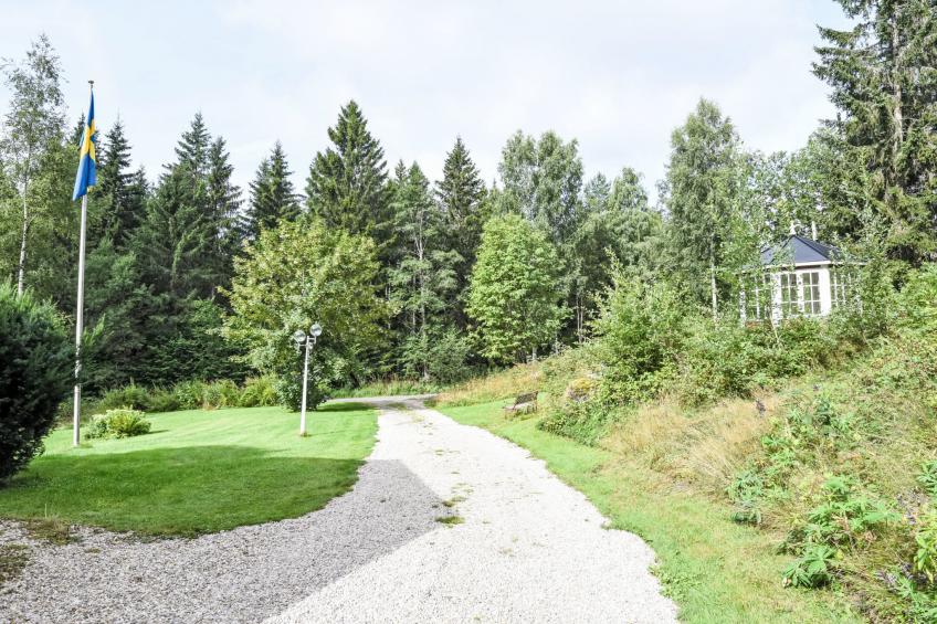 Liane Dalen - foto 23