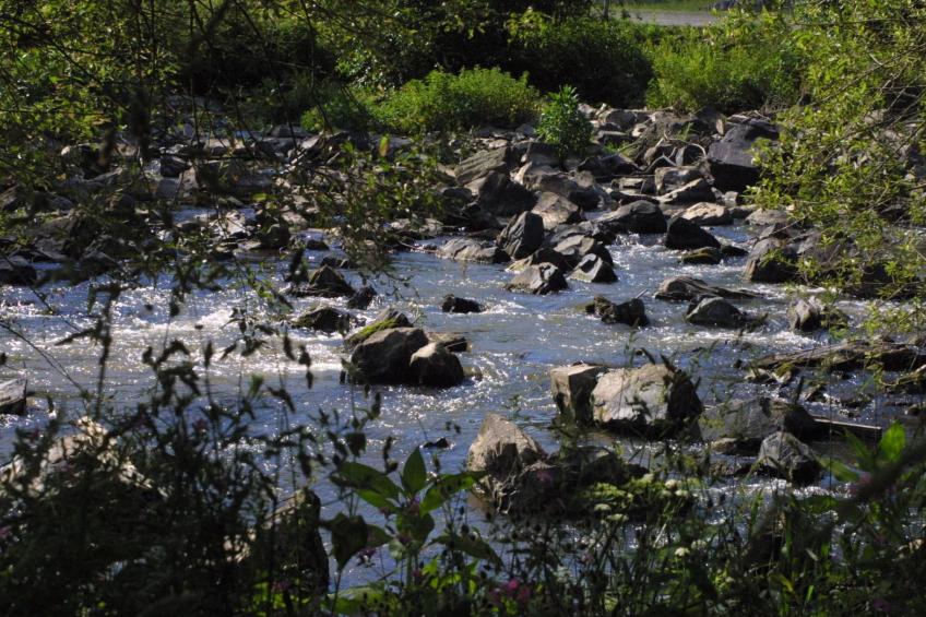 Chalet Wiedfluh in Waldbreitbach - foto 33