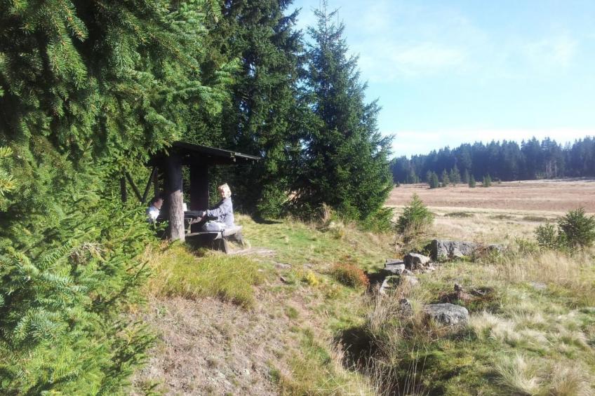 Fewo "Am Skihang OG" - foto 15