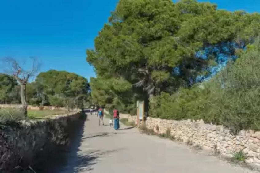 Can Ferrer (cala D'or) - foto 39