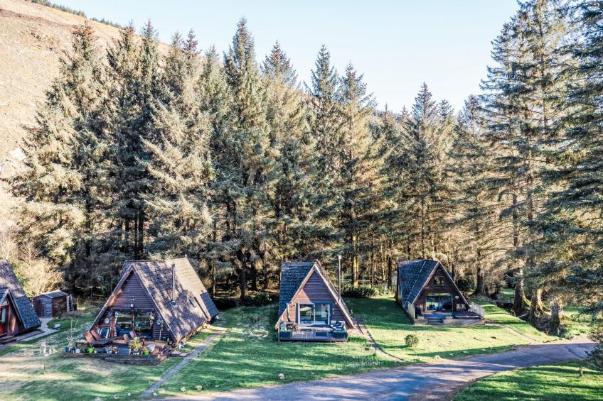 Pine Needle Lodge - foto 18