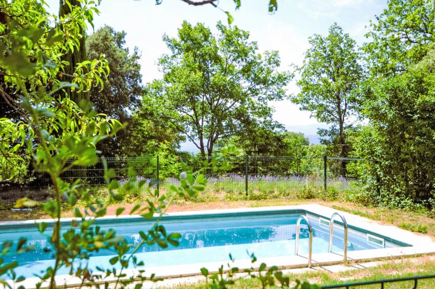 Le Bois d'Amour - foto 35