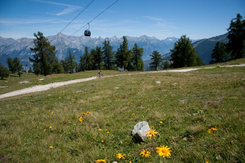 Magrappé M 647 - SKI LIFT apartment 5 pers - foto 17