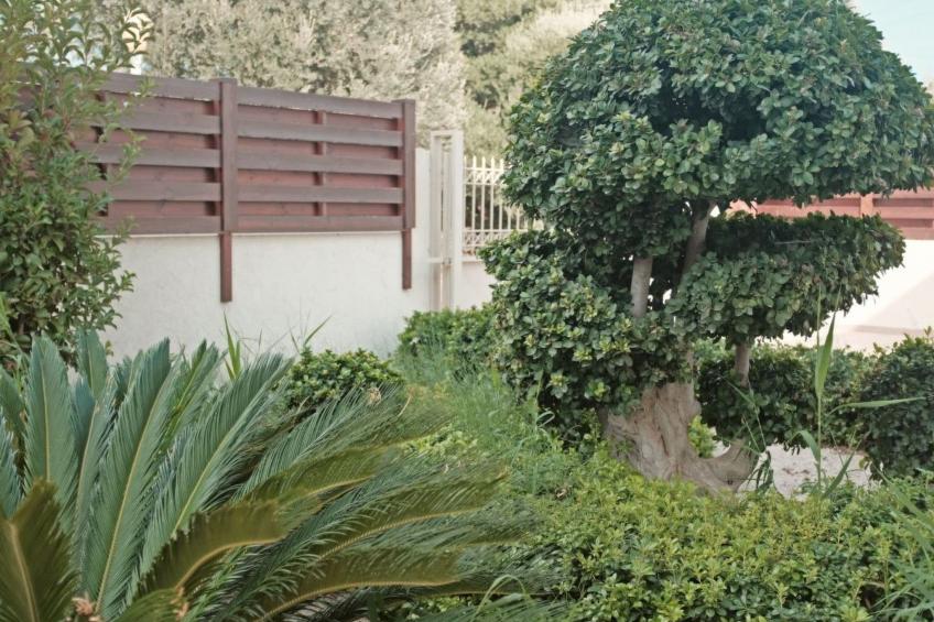 in Sgourou mit Eigenem Balkon - foto 39