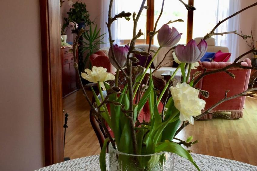 an der Kaschubischen Seenplatte - foto 35