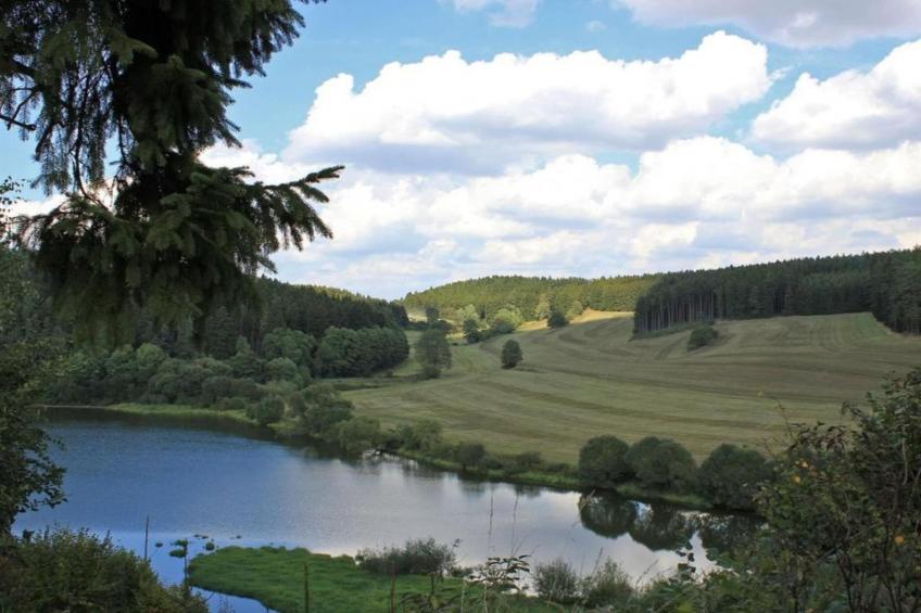 Ferienwohnug an der Saale - foto 30