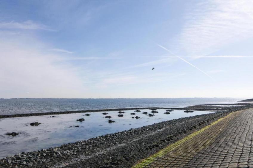 Licykreken - foto 27