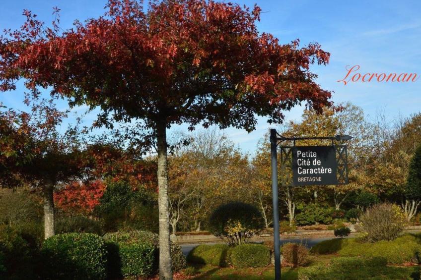 Ferienhaus - foto 24