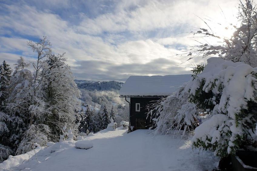 Bienenhaus Speicher - foto 2