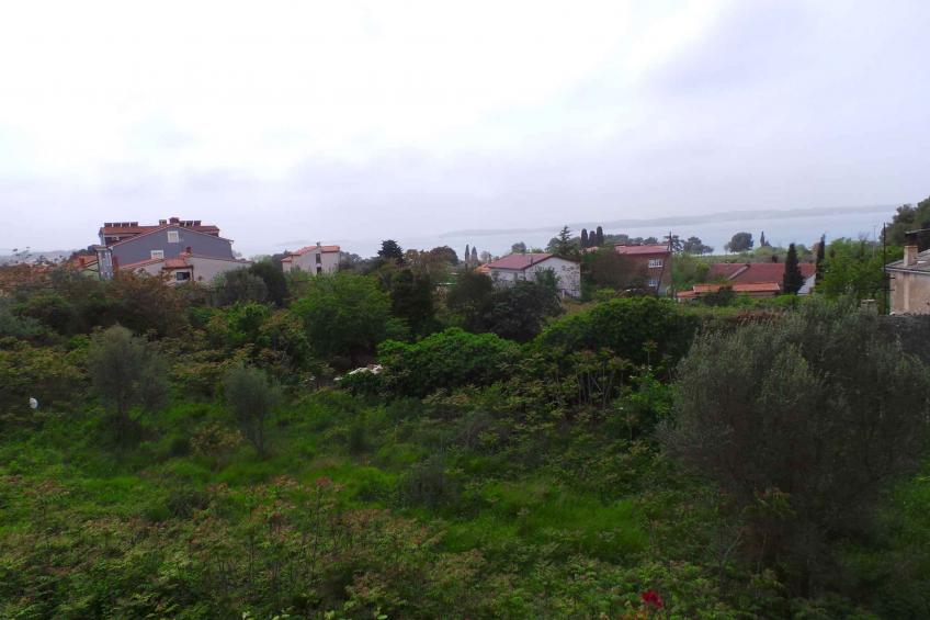 FerienWohnung mit Blick auf den Nationalpark Brijuni - BF-KJRY - foto 12