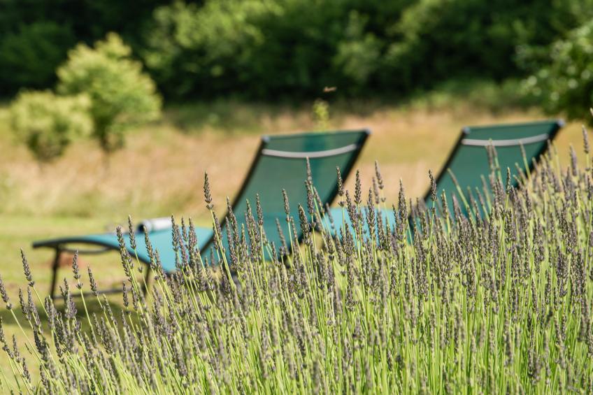 Maison des Yourtes - foto 8