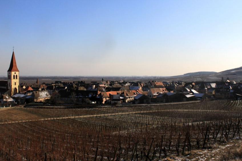 Med-Face Vosges,im Süden,im Herzen der Weinberge,Ruhig,WiFi - foto 36