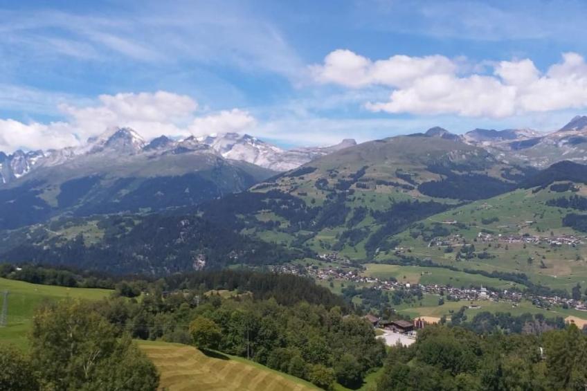 Aparthaus Surselva, direkt an der Skipiste - foto 27