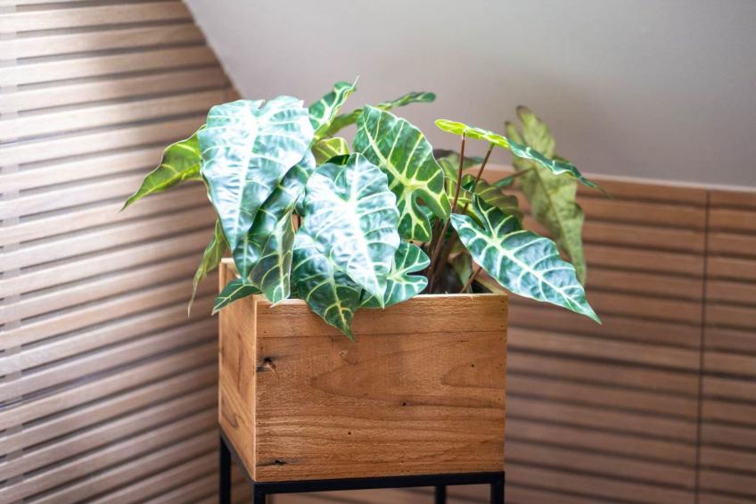 Schule Altes Land - foto 10