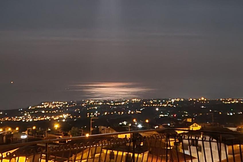 BellaVista - foto 15