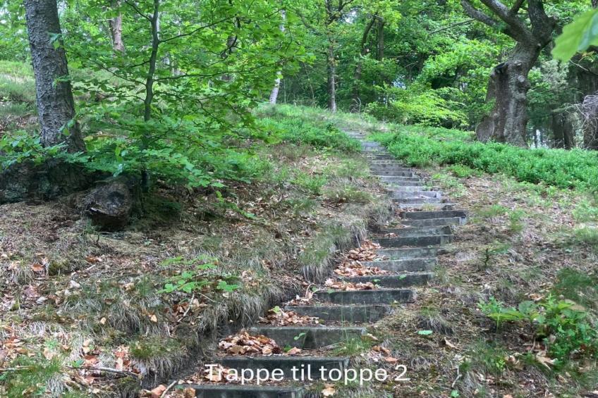 "Bernadete" - foto 32