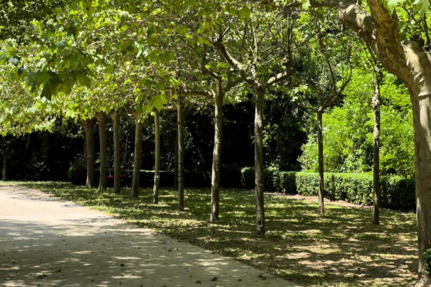 Mobil Home - Bungalow - Cottage à Sant Hilari Sacalm - foto 39