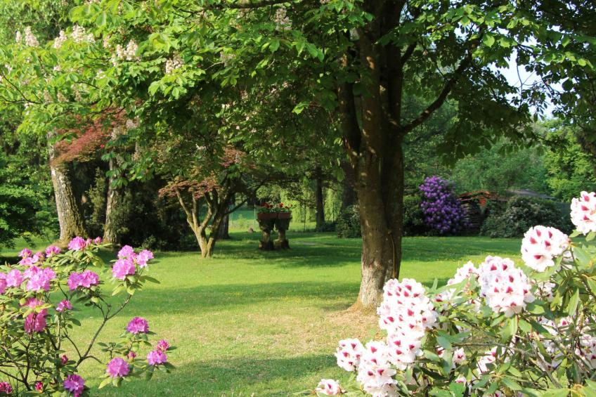 Ferienvilla mit eigener Sauna - foto 34