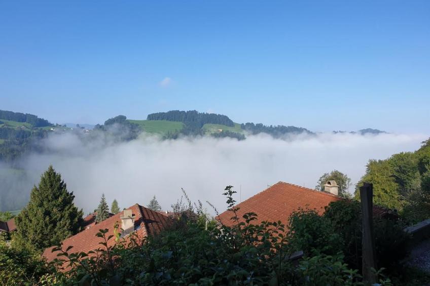 Chalet Traumfleck - foto 58