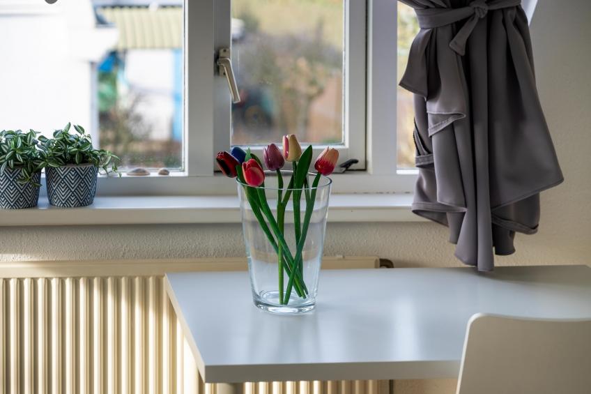 De Zilvermeeuw - foto 34